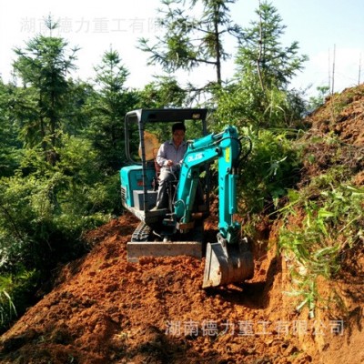 山西德力重工DL15-8挖掘机,园林挖掘机，微型挖掘机，迷你挖掘机