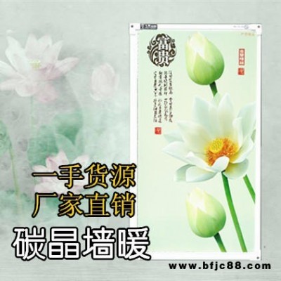 石墨烯电暖器 煤改电中标品牌 厂家直销 电暖画 电暖墙 600W