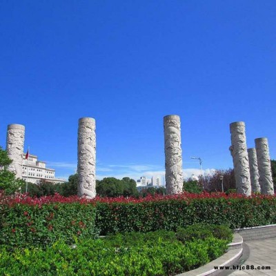 广场道路石龙柱 园林景观石龙柱 寺庙古建石柱子 石龙柱