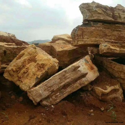 江苏泰州假山石批发 草坪石 千层石驳岸石 景观石价格 千层石一吨价格