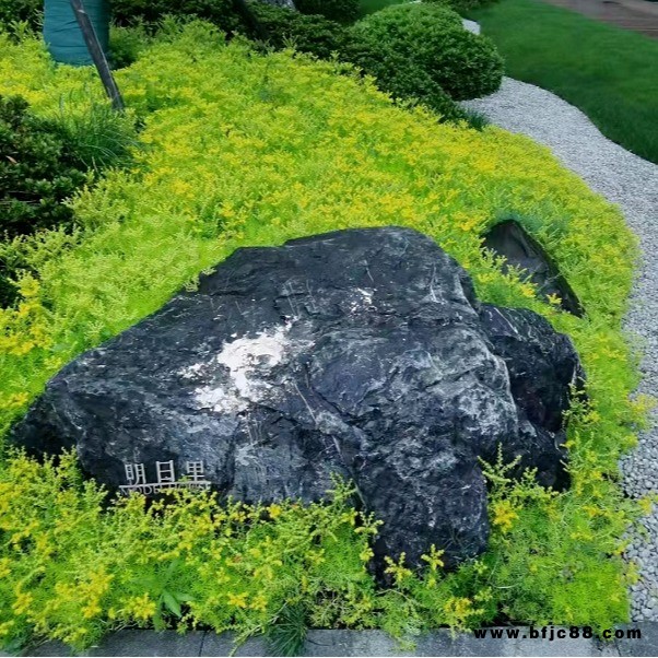 黑山石 枯山水黑色景观石 庭院驳岸野山石