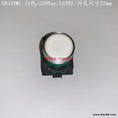 XB5AVM1  XB5AVM3 XB5AVM4 XB5AVM5 XB5AVM6 施耐德指示灯 230Vac/LED灯