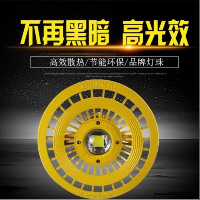 隆业-防爆LED10W-120W照明灯led防爆灯加油站led防爆照明灯