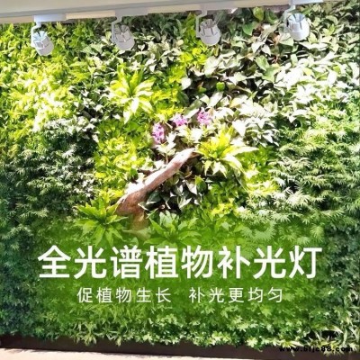 供应绿植墙全光谱补光灯植物墙生长灯室内补光灯LED轨道式射灯XIHV雨淋缸平安树幸福树补光灯