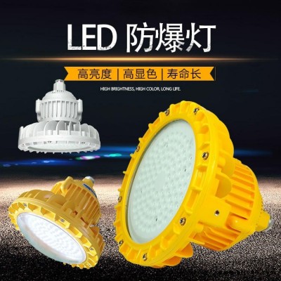 管掉式led防爆灯50w 一体式40wled防爆应急灯