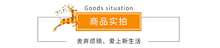 厂家直销尊霸平开门系列 家用简约生态套装门 平开门可加工定制示例图7