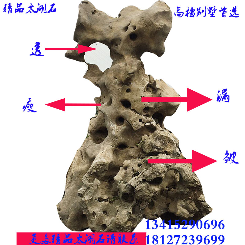 太湖石白底图.jpg