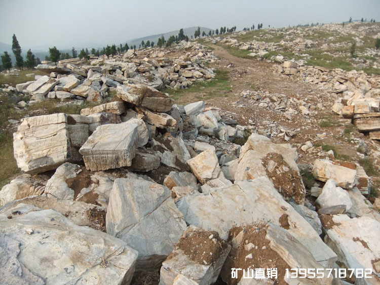 千层石产地大量批发，江苏无锡市千层石，万吨矿山直销价格低廉示例图3