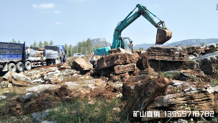 江苏淮安市千层石假山石 龟裂纹石 微景观造景石 别墅园林 景观石示例图1