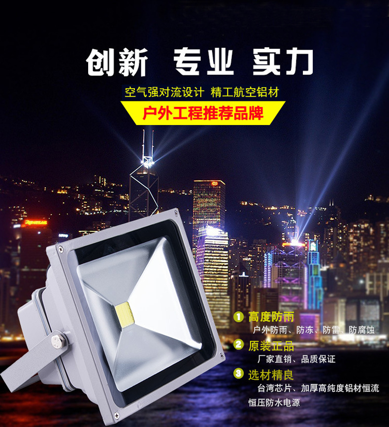 广告射灯亮化工程led投光灯50W 绿化园林照树灯外墙投射灯示例图2