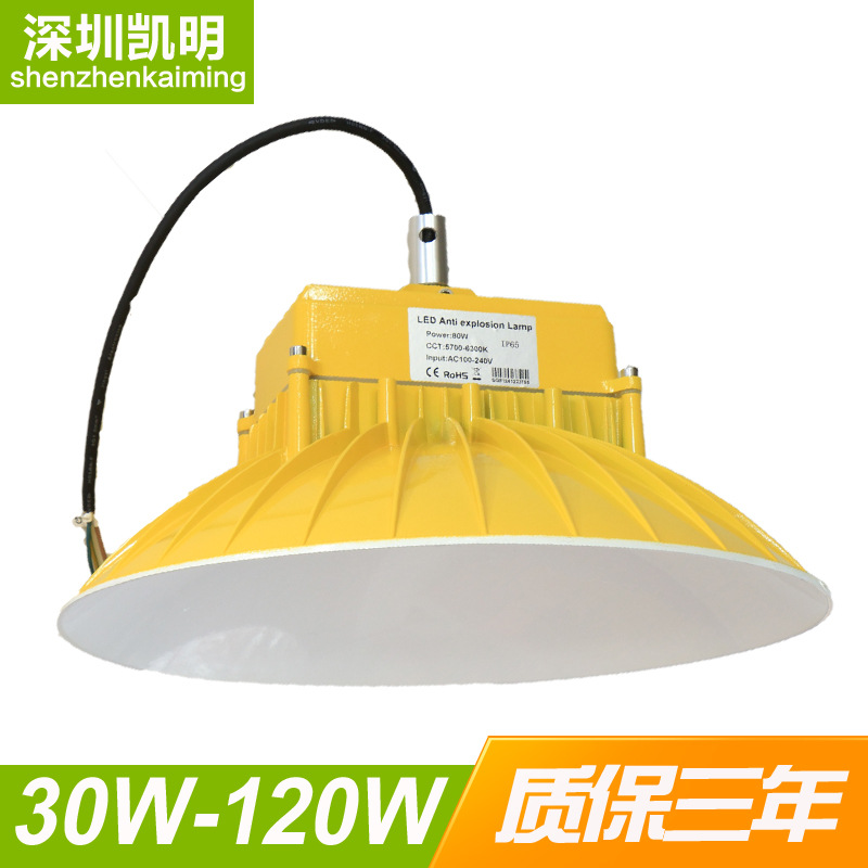 LED防爆灯150W 120W 100W 80W 50WLED圆形防爆灯 加油站防爆灯示例图1