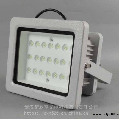 华荣GT311投光灯GT311-XL80LED投光灯80W220V