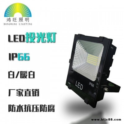 LED投光灯 户外照明亮化灯 景观灯 庭院灯 高杆灯