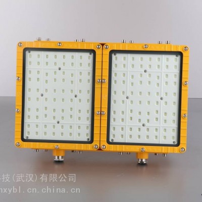 RLEEXL5330-50W 隔爆型led投光灯RLEEXL5330-400W固定式防爆泛光灯