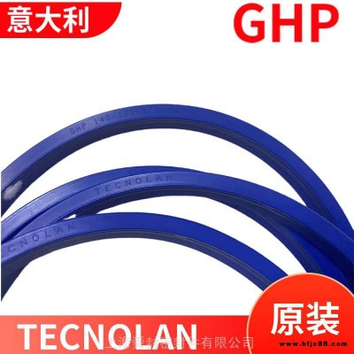 进口密封件 TECNOLAN,TECNOTEX GHP双层防尘 原装 意大利 舜封