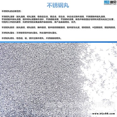 鲁贝 专业生产磨料厂家 型号齐全欢迎选购    410不锈钢丸0.5-3.0mm