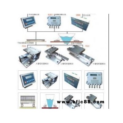 厂家供应 自动化称重系统 配料称重系统 衡天衡器