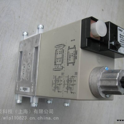 慢开双电磁阀DMV-DLE5100/11 eco德国DUNGS电磁阀报价