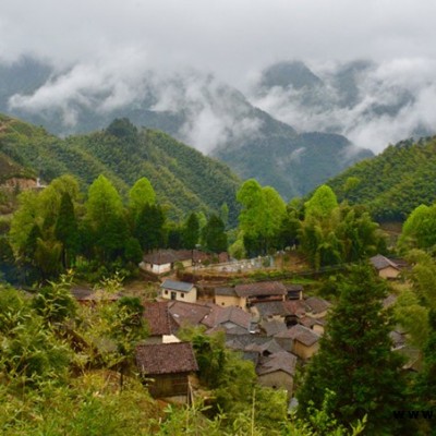 选择鸿山装饰省心(图)-乡村改造生态稻草泥-深圳稻草泥