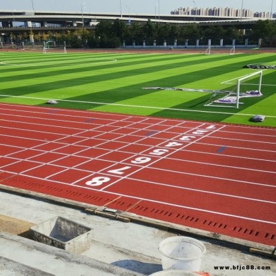 幼儿园EPDM场地 预制型塑胶跑道 pvc橡胶地板 特耐力 塑胶操场