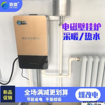 煤改电锅炉 家用 6kw电磁壁挂炉 热水炉 电磁热水锅炉 霖鼎