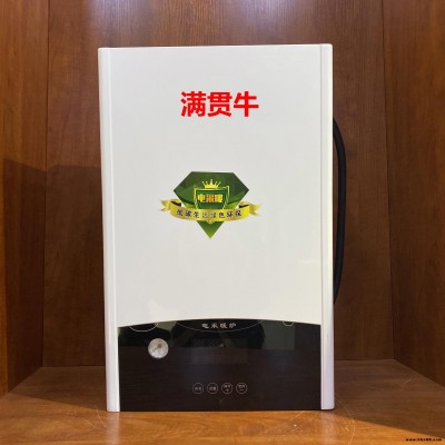 智能采暖炉 供暖取暖锅炉家用8kw-200kw 高端电壁挂炉 全满贯电锅炉厂家