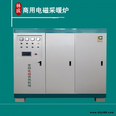 电磁供暖锅炉 30kW电磁加热采暖炉 40千瓦电磁电锅炉 林成