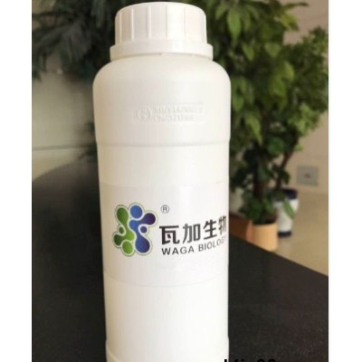 广东专用水性木器漆专用抗菌剂货真价实 服务至上 上海瓦加生物科技供应