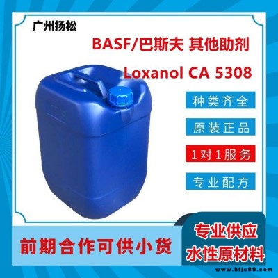 BASF/巴斯夫其他助剂Loxanol CA 5308适用于内外墙漆，弹性涂料、造型漆和木器漆