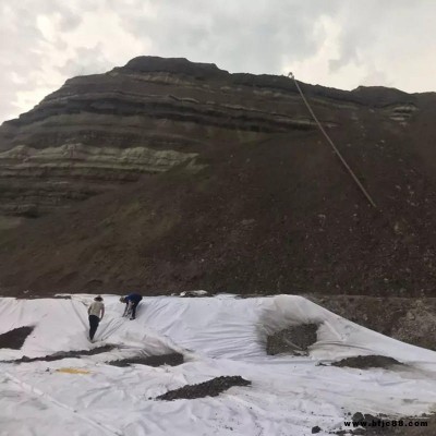 防水无纺布 蓄水池防水防护两布一膜防水土工布 景观湖长丝复合土工膜