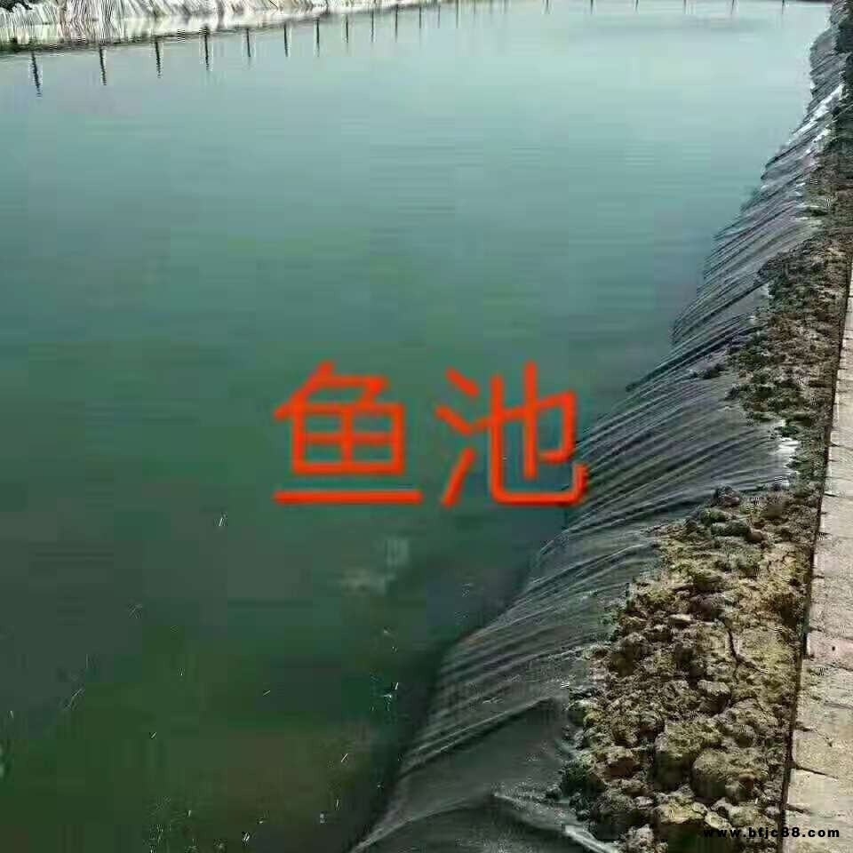 鱼塘防渗膜HDPE加厚黑色土工膜防水布虾鱼池专用护坡养殖膜藕池膜