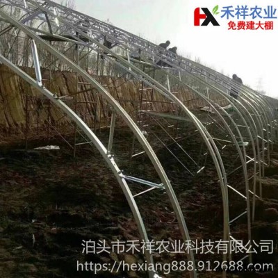 双膜骨架大棚 农用双膜骨架 禾祥农业 建温室大棚 双膜大棚骨架 设计安装