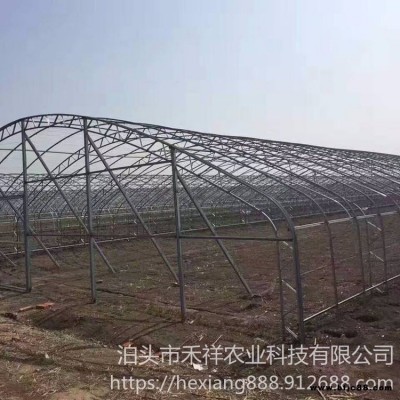 双层温室大棚 大棚骨架双膜 禾祥农业 双骨架双层膜温室 双膜骨架蔬菜大棚