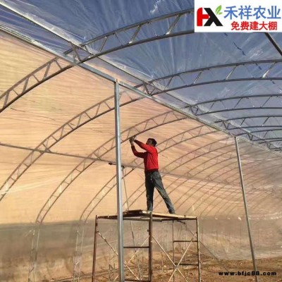 禾祥农业 免费建大棚 大棚双膜骨架 蔬菜大棚专用骨架 双膜大棚骨架设备