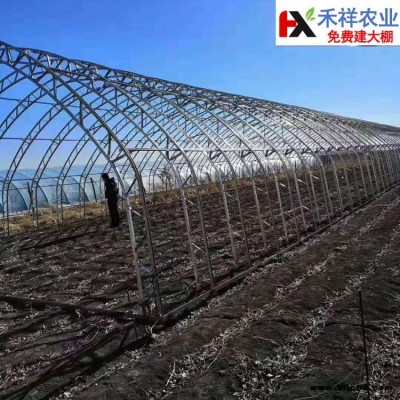 双膜大棚骨架 禾祥农业 建种植大棚双膜大棚骨架 使用年限久