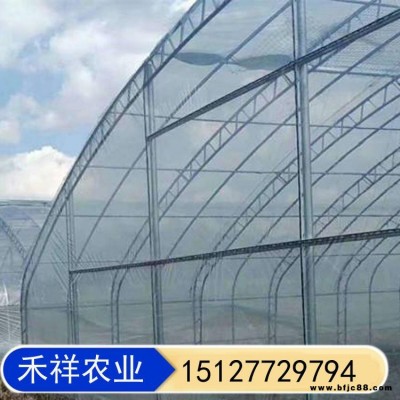 连栋大棚双棚双拱 双膜骨架蔬菜大棚 禾祥农业 双拱双膜连栋大棚 双模大棚骨架