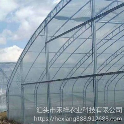 双膜骨架蔬菜大棚 禾祥农业 温室大棚双膜骨架 桁架双模大棚骨架厂家