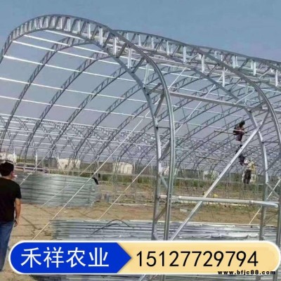 双膜骨架蔬菜大棚 禾祥农业 花卉养殖连栋连体大棚 双骨架双层膜温室