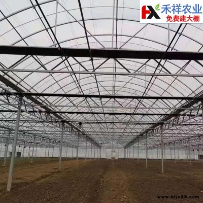 禾祥农业 大量出售 双膜大棚骨架 大棚双膜骨架厂家 可加工定做