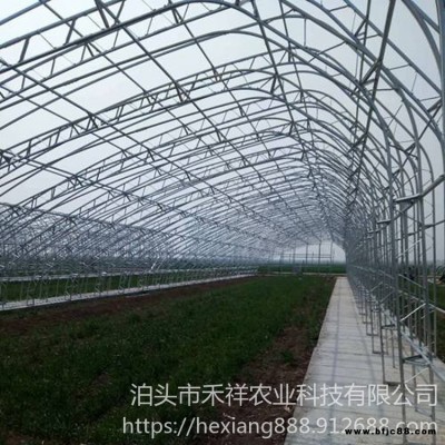 禾祥农业 双膜骨架大棚 搭建双膜大棚骨架 双层温室大棚 大棚骨架