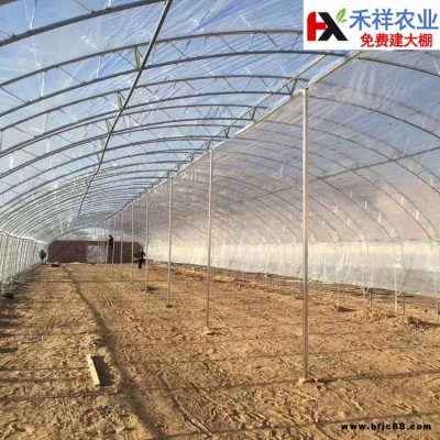 连栋薄膜温室花卉大棚 禾祥农业 双膜大棚骨架 双膜骨架建设