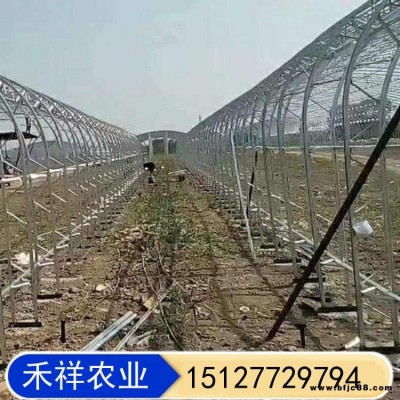 双膜骨架蔬菜大棚 畜牧养殖大棚 桁架双模大棚骨架厂家 禾祥农业 双骨架双层膜温室