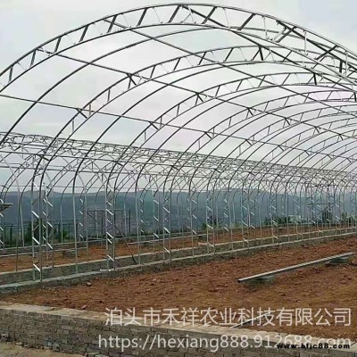 花卉养殖大棚 蔬菜大棚骨架 大棚双膜骨架 禾祥农业 双膜骨架大棚