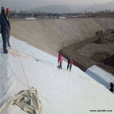 防水土工布景观湖一布一膜两布一膜人工湖复合隔膜德州防渗土工膜润泽批发