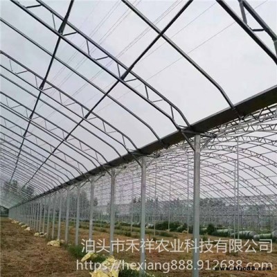 双膜骨架蔬菜大棚 双层温室大棚 大棚骨架 禾祥农业 双膜骨架大棚