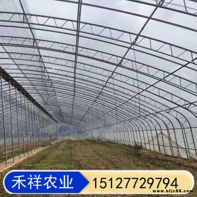 禾祥农业 温室大棚双膜骨架 新型双膜骨架大棚 双层温室大棚 保温蔬菜大棚