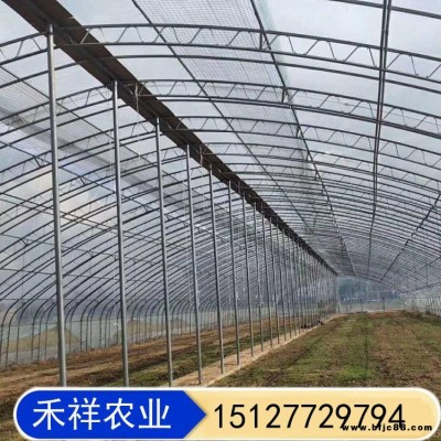 花卉育苗连栋大棚 禾祥农业 温室大棚双膜骨架 新型双膜骨架大棚