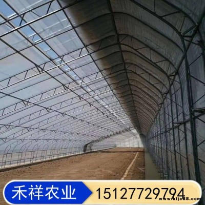 双膜骨架蔬菜大棚 禾祥农业 温室大棚双膜骨架 双模大棚骨架 畜牧养殖大棚