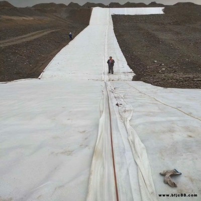 人工河道防水复合土工膜 水利工程建设边坡防护一布一膜两布一膜 鱼塘防渗膜