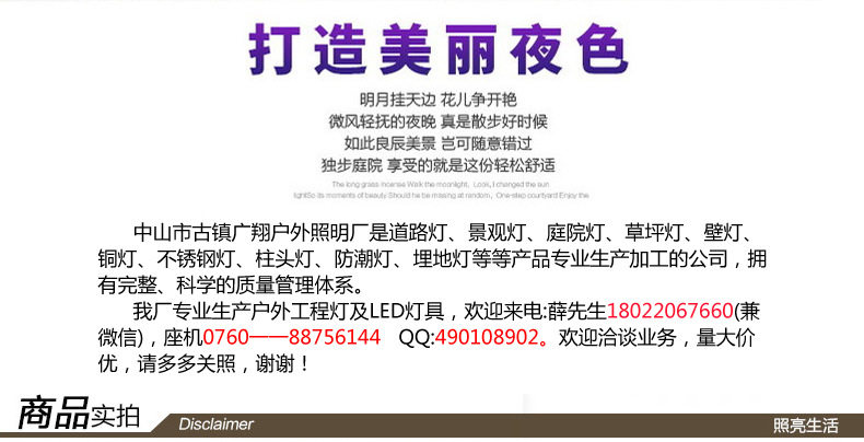 厂家直销 led聚光投光灯 聚光投光灯 LED射树灯示例图2